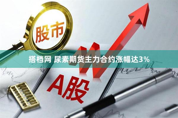 搭档网 尿素期货主力合约涨幅达3%