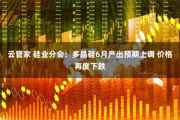 云管家 硅业分会：多晶硅6月产出预期上调 价格再度下跌